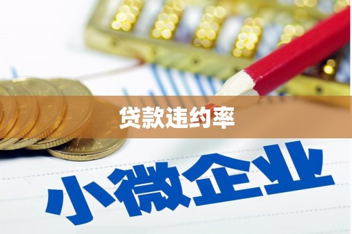 邵阳县贷款违约率