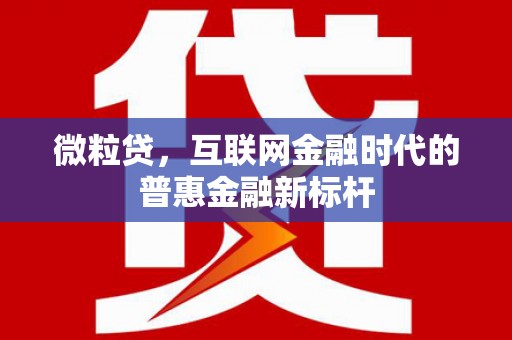 邵阳县微粒贷，互联网金融时代的普惠金融新标杆