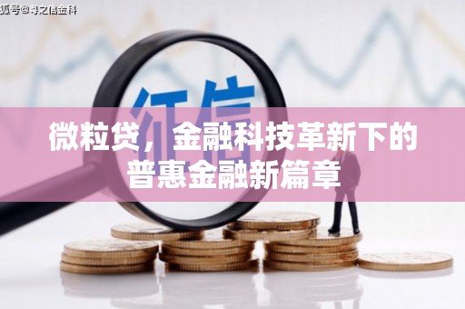 邵阳县微粒贷，金融科技革新下的普惠金融新篇章