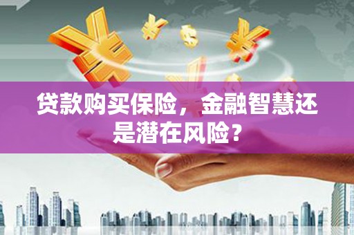 邵阳县贷款购买保险，金融智慧还是潜在风险？