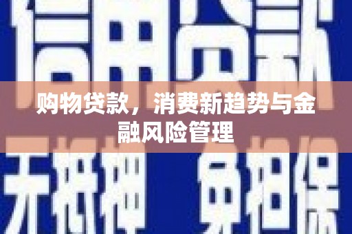 邵阳县购物贷款，消费新趋势与金融风险管理
