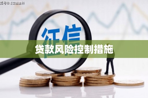 邵阳县贷款风险控制措施