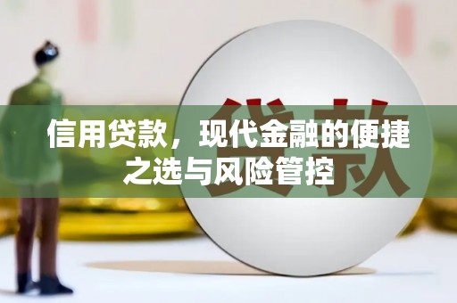 邵阳县信用贷款，现代金融的便捷之选与风险管控