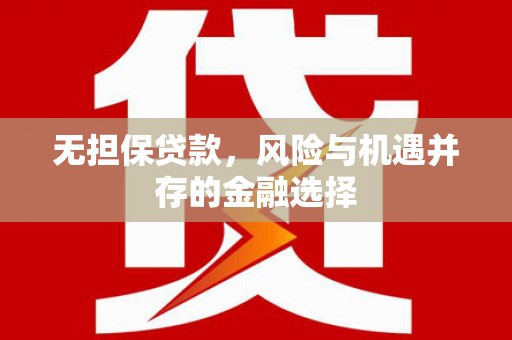 邵阳县无担保贷款，风险与机遇并存的金融选择