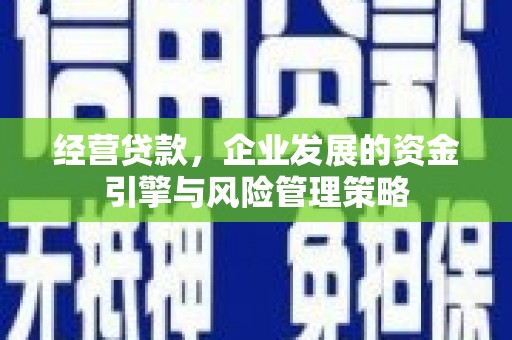 邵阳县经营贷款，企业发展的资金引擎与风险管理策略