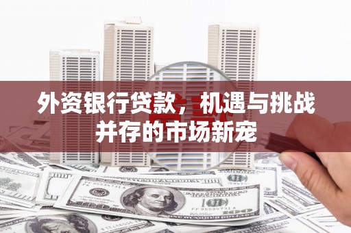 邵阳县外资银行贷款，机遇与挑战并存的市场新宠