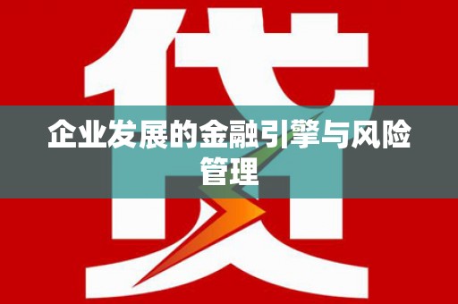 邵阳县企业发展的金融引擎与风险管理