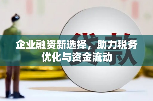 邵阳县企业融资新选择，助力税务优化与资金流动