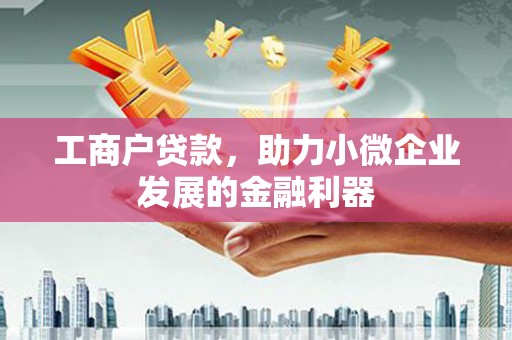 邵阳县工商户贷款，助力小微企业发展的金融利器