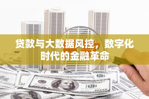 邵阳县贷款与大数据风控，数字化时代的金融革命