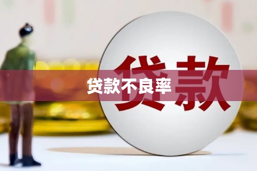 邵阳县贷款不良率