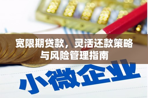 邵阳县宽限期贷款，灵活还款策略与风险管理指南