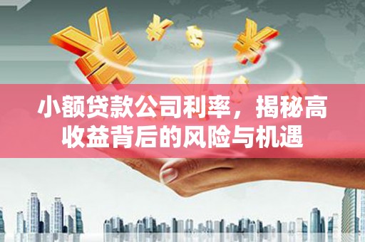 邵阳县小额贷款公司利率，揭秘高收益背后的风险与机遇