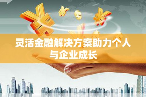 邵阳县灵活金融解决方案助力个人与企业成长