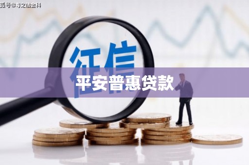 邵阳县平安普惠贷款