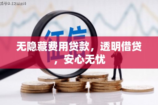 邵阳县无隐藏费用贷款，透明借贷，安心无忧