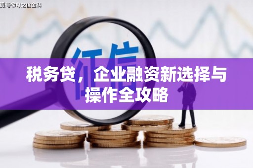 邵阳县税务贷，企业融资新选择与操作全攻略