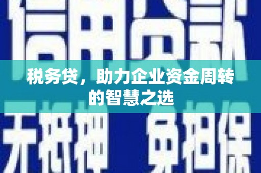 邵阳县税务贷，助力企业资金周转的智慧之选