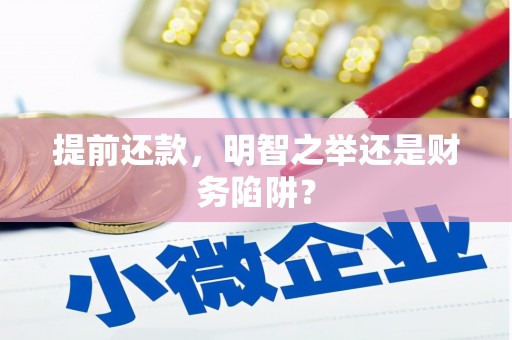 邵阳县提前还款，明智之举还是财务陷阱？
