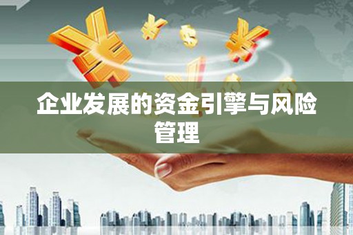 邵阳县企业发展的资金引擎与风险管理