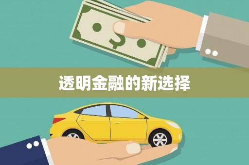 邵阳县透明金融的新选择