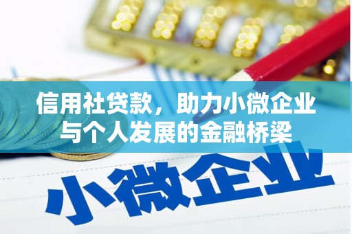 邵阳县信用社贷款，助力小微企业与个人发展的金融桥梁