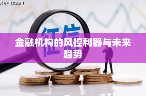 邵阳县金融机构的风控利器与未来趋势