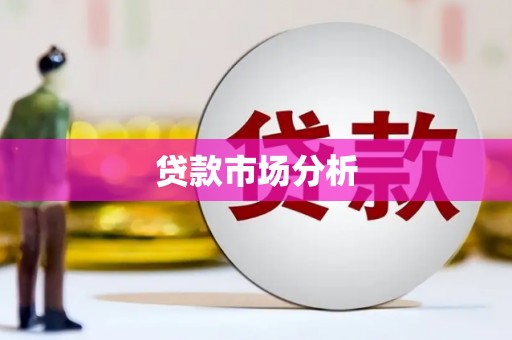 邵阳县贷款市场分析