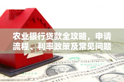 邵阳县农业银行贷款全攻略，申请流程、利率政策及常见问题解析