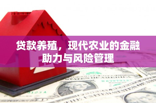 邵阳县贷款养殖，现代农业的金融助力与风险管理