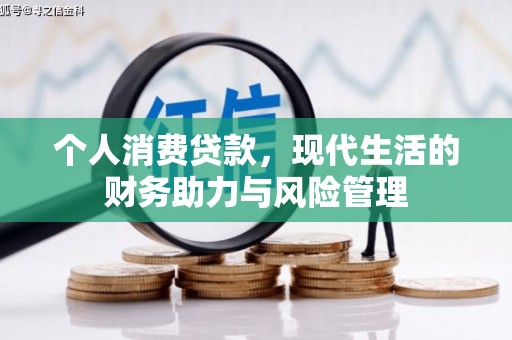 邵阳县个人消费贷款，现代生活的财务助力与风险管理