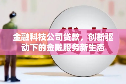 邵阳县金融科技公司贷款，创新驱动下的金融服务新生态