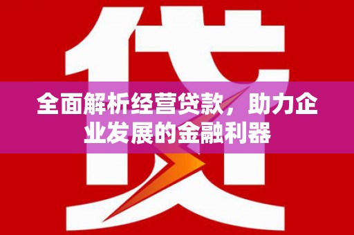 邵阳县全面解析经营贷款，助力企业发展的金融利器