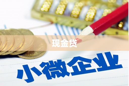 邵阳县现金贷