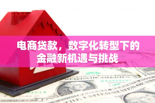 邵阳县电商贷款，数字化转型下的金融新机遇与挑战