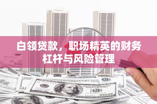 邵阳县白领贷款，职场精英的财务杠杆与风险管理