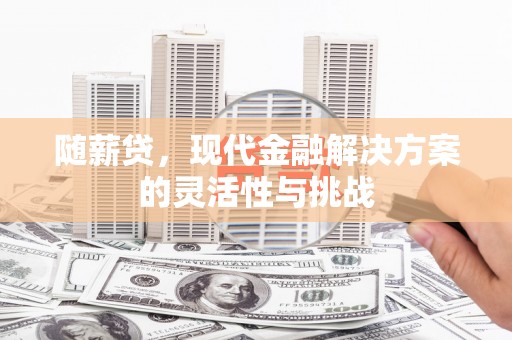 邵阳县随薪贷，现代金融解决方案的灵活性与挑战