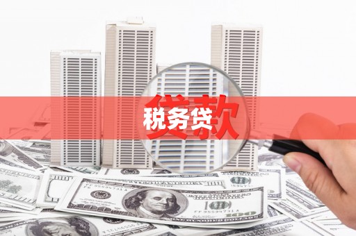 邵阳县税务贷