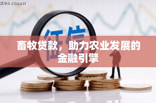 邵阳县畜牧贷款，助力农业发展的金融引擎