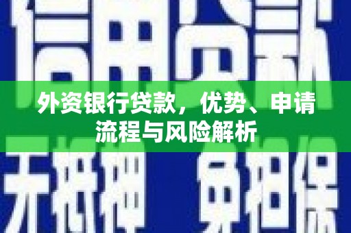 邵阳县外资银行贷款，优势、申请流程与风险解析