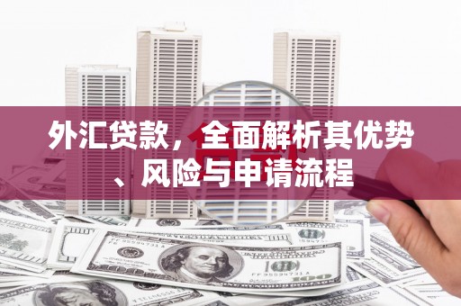 邵阳县外汇贷款，全面解析其优势、风险与申请流程