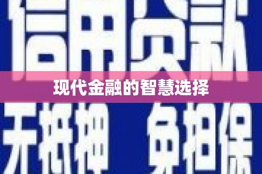 邵阳县现代金融的智慧选择
