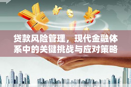 邵阳县贷款风险管理，现代金融体系中的关键挑战与应对策略