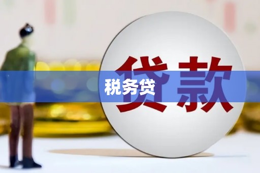 邵阳县税务贷