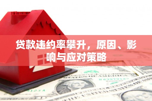 邵阳县贷款违约率攀升，原因、影响与应对策略