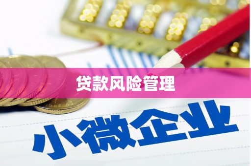 邵阳县贷款风险管理