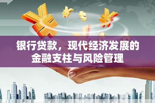 邵阳县银行贷款，现代经济发展的金融支柱与风险管理