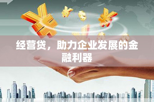邵阳县经营贷，助力企业发展的金融利器