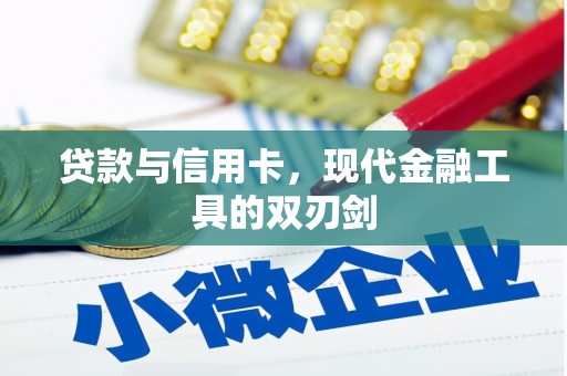 邵阳县贷款与信用卡，现代金融工具的双刃剑