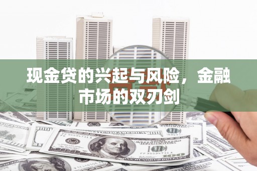 邵阳县现金贷的兴起与风险，金融市场的双刃剑